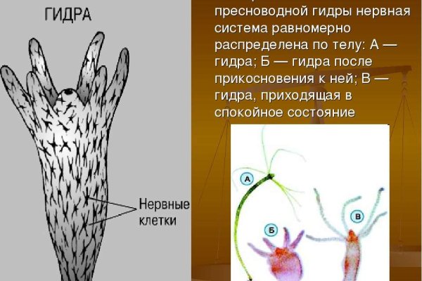 Kraken официальный сайт ссылка через tor